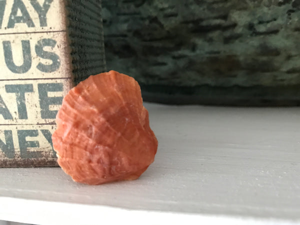 Silky Patina "Coral Cottage"